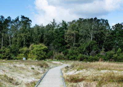 Hedebostien – Sjælland